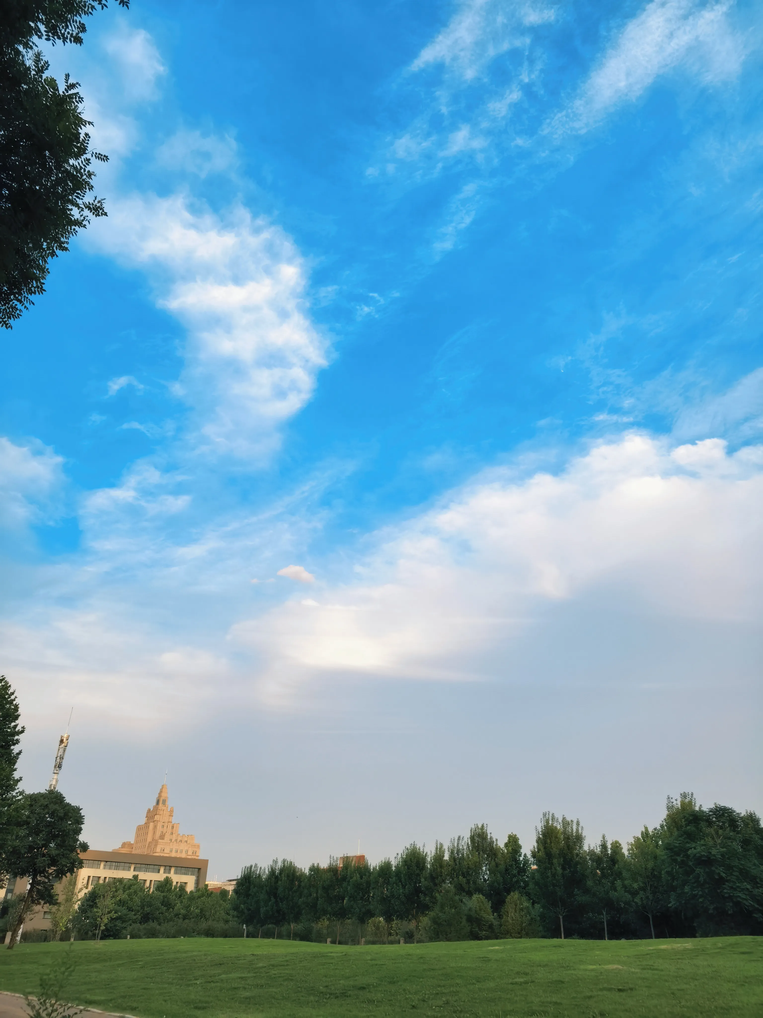 IMG_20260620_191820